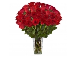 Red Perfection - 36 Stems Vase